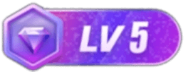 等级-LV5-it数运（救赎者）官网-it&救赎者品牌助力企业发展